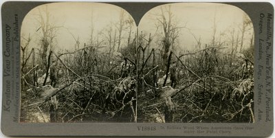 Uniformed Man Walking Through an Area Covered with Destroyed Trees by Keystone View Company